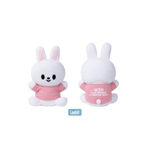 [SKZOO EAATW in SEOUL]-SKZOO大型擁抱娃娃(韓國進口)SKZOO PLUSH HUG ME Ver.