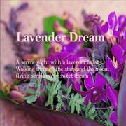 薰衣草之夢-花與茶的二重奏