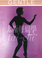 太極輕鬆學DVD
