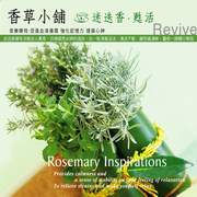 香草小舖-迷迭香‧甦活