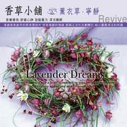 香草小舖-薰衣草‧寧靜