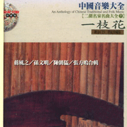 中國音樂大全二胡7-一枝花