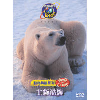 Dis動物英雄:北極酷熊