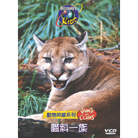 Dis動物英雄:貓科一族