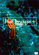 印象活力-Live演唱會