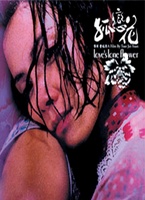 孤戀花-(16集全劇)