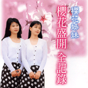 櫻花盛開全記錄