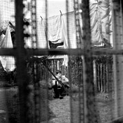 創世紀(初回限定版)