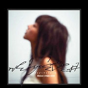 華麗的冒險(精裝版)