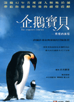 企鵝寶貝-南極的旅程