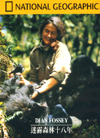 迷霧森林十八年