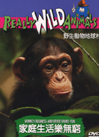 野生動物地球村-家庭生活樂無窮