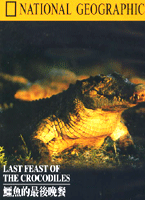 鱷魚的最後晚餐