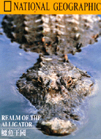 鱷魚王國