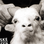 2006柏爾根圖國際音樂節慶典