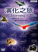 演化之旅