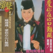 愛你在心口難開(復刻版)