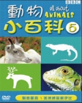 動物小百科 5 (馴鹿蘿西＆美洲綠鬣蜥伊比)