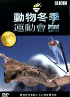 動物冬季運動會