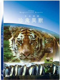 地球脈動19-珍禽異獸