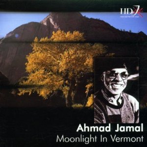 以月光之名現場演奏會