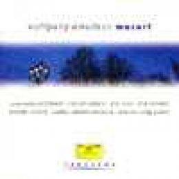 (古典大觀園35)單簧管協奏曲&弦樂四重奏(尼第許&艾默森)