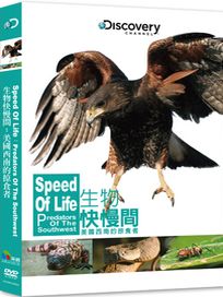 生物快慢間：美國西南的掠食者