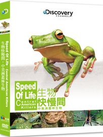 生物快慢間：中美洲叢林生物