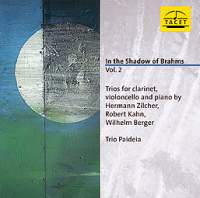布拉姆斯:豎笛三重奏曲集