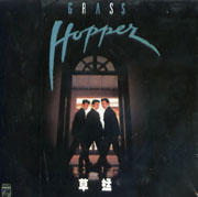 飛躍千個夢(復黑王系列)