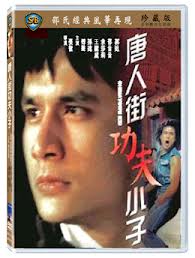 唐人街功夫小子
