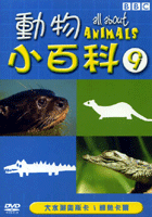 動物小百科-9