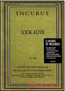 動力加速度演唱會