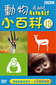 動物小百科-13