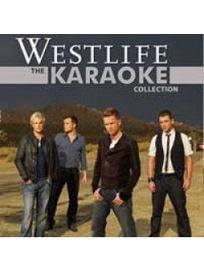 真愛冠軍情歌精選(卡拉OK DVD)