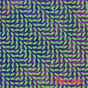 觀星閣(台壓盤)