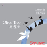 橄欖樹(純真年代)