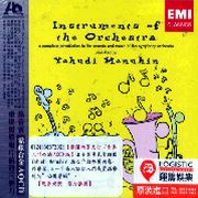 樂團樂器大全-古典入門必備