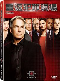 重返犯罪現場-第六季