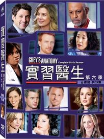 實習醫生-第六季