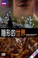 隱形的世界