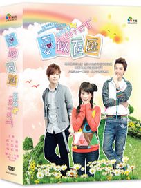 愛似百匯-(全13集)