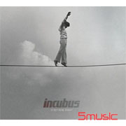 猶豫不決,更待何時?(進口)