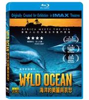 海洋的美麗與哀愁-(藍光)