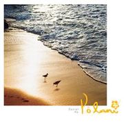 陽光燦爛 夏威夷4-金色沙灘的自由漫步