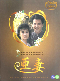 瓊瑤六個夢之2 啞妻-(全19集)