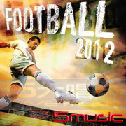 2012年歐洲杯足球賽