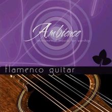 心靈深呼吸系列～情熱佛朗明哥