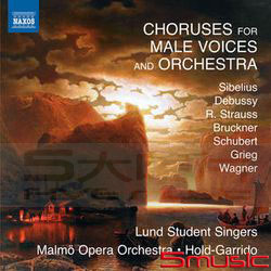 給男聲樂的合唱作品