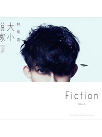 「大小說家」影音DVD